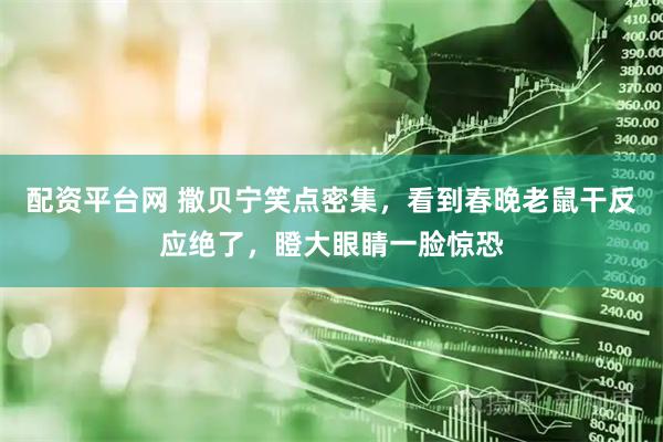 配资平台网 撒贝宁笑点密集，看到春晚老鼠干反应绝了，瞪大眼睛一脸惊恐